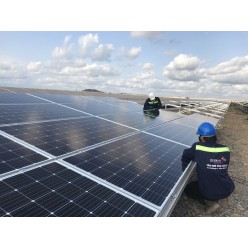 Dự án Solar Farm